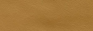 756 Oro Pallido Colour Leather from Atmosphere, Studio leather collection