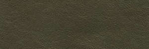 761 Old Bronze Colour Leather from Atmosphere, Studio leather collection