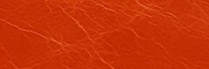 LAGUNA Burnt Orange Colour Leather from Laguna, Classic leather collection