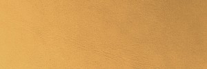 Camel 7007 Colour Leather from Boston, Studio leather collection