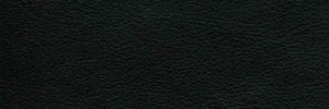Black Colour Leather from Hotel , Hotel  leather collection