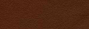 Gingerbread Colour Leather from Hotel , Hotel  leather collection