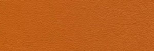 Pumpkin Colour Leather from Hotel , Hotel  leather collection