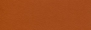 Rust Colour Leather from Hotel , Hotel  leather collection